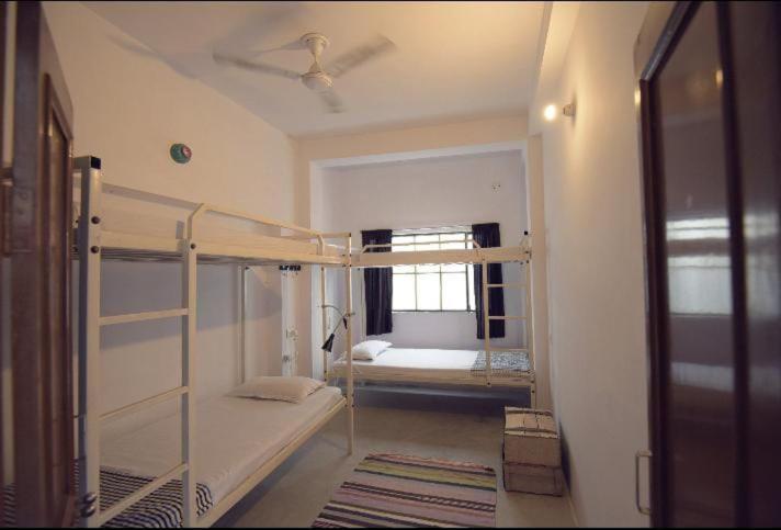 Eco Family Hostel Jaipur Exterior foto