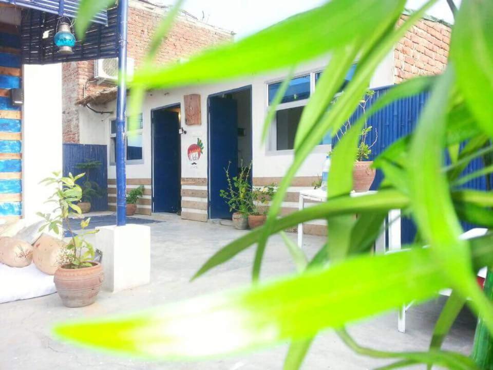 Eco Family Hostel Jaipur Exterior foto